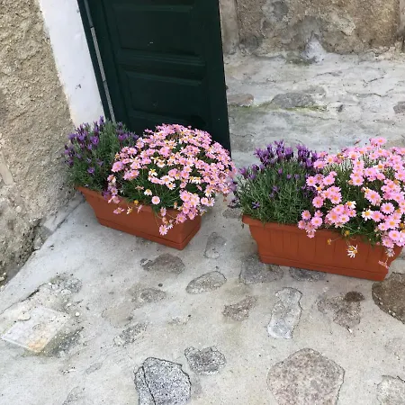 Casa Vacanza Tropea,da Aldo